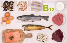 Gejala Kekurangan Vitamin B12