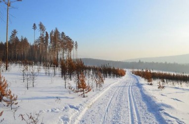 Suhu Siberia Mencapai 100 Derajat Fahrenheit, Rekor Terpanas yang Pernah Tercatat