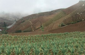 Jelajah Segitiga Rebana: Pariwisata di Majalengka Kembali Dibuka Mulai 27 Juni