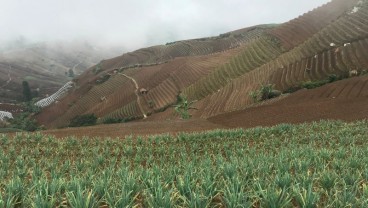 Jelajah Segitiga Rebana: Pariwisata di Majalengka Kembali Dibuka Mulai 27 Juni