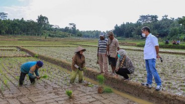 Penempatan Dana dari Pemerintah Bikin BRI Makin Fokus Selamatkan UMKM