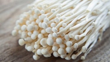 Importir Diperintahkan Musnahkan Jamur Enoki dari Green Co. Ltd.