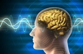 Studi Baru Ungkap Covid-19 Parah Dapat Menyebabkan Komplikasi Otak