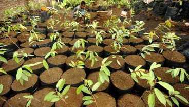 Pupuk Batu Bara Ciptaan Indonesia Kantongi Hak Paten AS