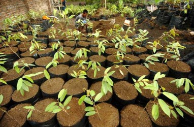 Pupuk Batu Bara Ciptaan Indonesia Kantongi Hak Paten AS