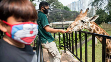Kebun Binatang Bandung Kembali Dibuka Untuk Umum