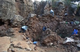 Ilmuwan Temukan Fosil Homo Erectus di Afrika Selatan