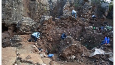 Ilmuwan Temukan Fosil Homo Erectus di Afrika Selatan