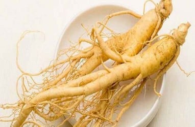 Wah! Bekasi Bakal Miliki Perkebunan Ginseng