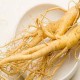 Wah! Bekasi Bakal Miliki Perkebunan Ginseng