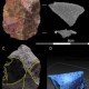 Peneliti Temukan Lansekap Kuno Bawah Laut Berusia 7.000 Tahun di Australia