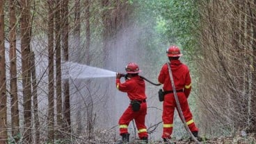 Sumsel Kerahkan 8.000 Petugas Hadapi Karhutla