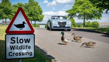 Berkebun! Pilihan Aktivitas Rolls-Royce Saat Tutup Pabrik