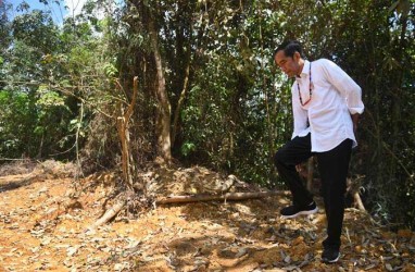 Kenapa Jokowi Tak Undang Mentan Garap 'Food Estate' di Kalteng?