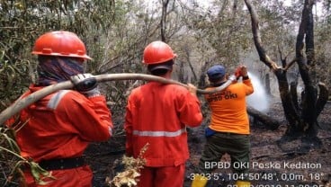 Pengawasan 5 Area Rawan Karhutla di Ogan Komering Ilir Diperketat