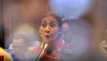 Disindir Politikus Gerindra, Susi Pudjiastuti: Saya Rakyat Biasa Tidak Rela Bibit Lobster Diekspor!