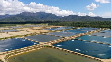 Proyek Percontohan Tambak Udang Dibangun di Lampung