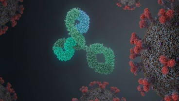 Antibodi Virus Corona Masuki Uji Klinis Tahap Akhir