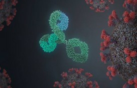 Antibodi Virus Corona Masuki Uji Klinis Tahap Akhir