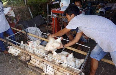 DAMPAK COVID-19 : Jatim Tergiur Sembako Daring