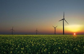 RI & IEA Perdalam Kerja Sama Ketenagalistrikan dan Energi Terbarukan