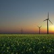 RI & IEA Perdalam Kerja Sama Ketenagalistrikan dan Energi Terbarukan