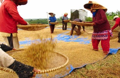 Pemanfaatan Sistem Resi Gudang (SRG) Diperkirakan Meningkat pada Semester II/2020