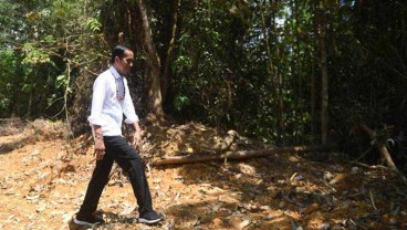 Jokowi Ingin Kalteng Jadi Lumbung Pangan Baru di Luar Pulau Jawa