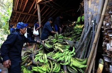 Akademisi : Perlu Konsep, Kebijakan, dan Strategi Yang Sesuai untuk Wisata Baduy