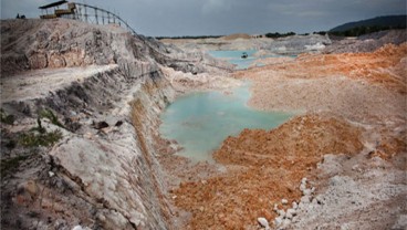 Hutan Rusak Akibat Timah di Babel akan Dijadikan Tambak Udang