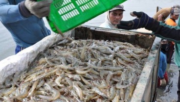 Giliran Udang yang Dituding China Jadi Perantara Virus Corona