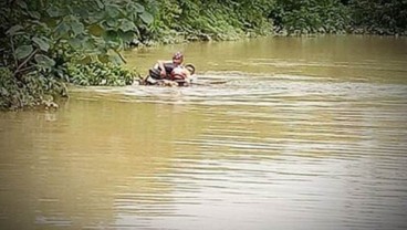 Terobos Banjir, Penyuluh Pertanian Gunakan Batang Pisang