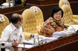 Menteri LHK: Yakinkan Kerja Lapangan Aktivitas Transisi Adaptasi