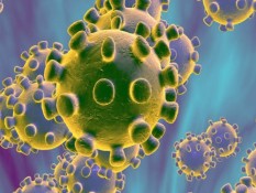 Ilmuwan Inggris Sebut Virus Corona Bertahan di Udara Lebih dari 1 Jam