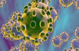 Ilmuwan Inggris Sebut Virus Corona Bertahan di Udara Lebih dari 1 Jam