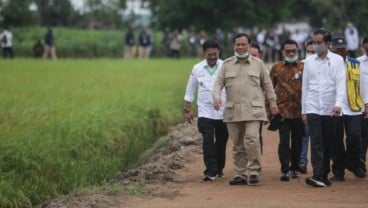 Polemik Anggaran Jumbo Kementerian Prabowo