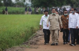 Polemik Anggaran Jumbo Kementerian Prabowo