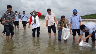 Tahun ini Batam Sebarkan 754.000 Benih Ikan untuk Nelayan