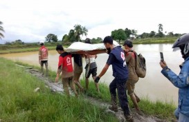 Laporan Sementara BPBD, 10 Korban Banjir Luwu Utara Meninggal