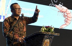 KKP Sebut Alasan Anak Buah Edhy Prabowo Diberhentikan