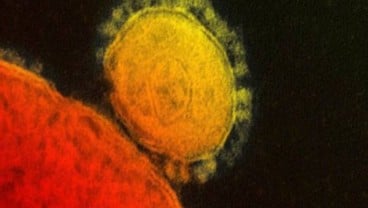 14 Mitos Seputar Virus Corona yang Terpatahkan Keilmuan