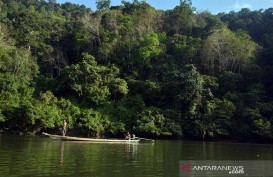 Riau Usul Bukit Rimbang Bukit Baling Menjadi Taman Nasional