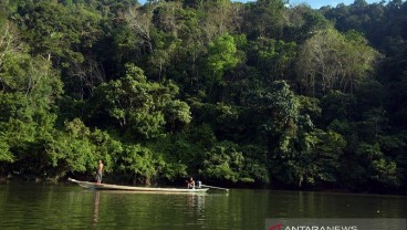 Riau Usul Bukit Rimbang Bukit Baling Menjadi Taman Nasional