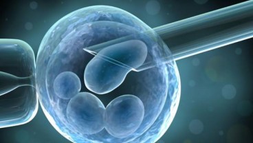 Uji Klinis Terapi Stem Cell Pasien Covid-19, Kemenkes Gandeng Perusahaan Korea