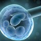 Uji Klinis Terapi Stem Cell Pasien Covid-19, Kemenkes Gandeng Perusahaan Korea