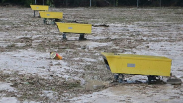 Kemensos Beri Bantuan Senilai Rp2 Miliar untuk Korban Banjir Masamba