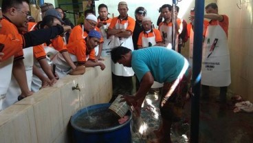 Rencana Pembangunan Rumah Potong Unggas Terganjal Covid-19