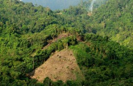 Integritas Pengelolaan Hutan agar tak Terjerat Omnibus Law