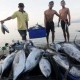 KKP Sebut Konsistensi Jaga Mutu Dongkrak Ekspor Ikan ke China