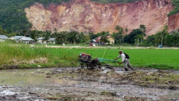 Kelaparan Global dan Obesitas Makin Buruk karena Pandemi
